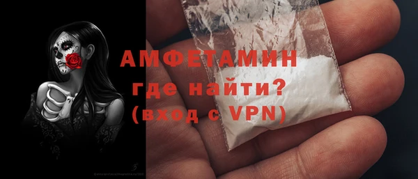 молекула духа Протвино
