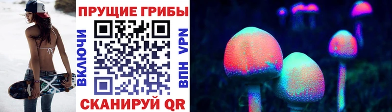 хочу   Горячий Ключ  Галлюциногенные грибы Psilocybine cubensis 